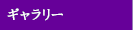 ギャラリー